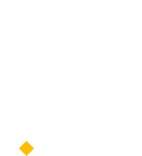 Cortexestudio